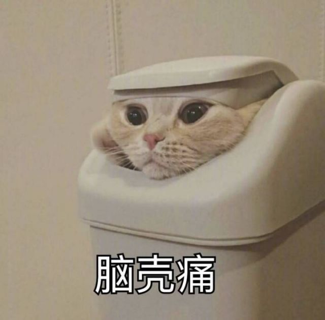 1.jpeg