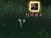 9.webp