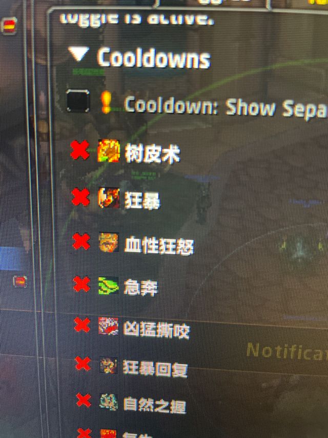 1.jpeg