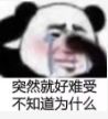 1.jpeg
